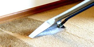 carpet cleaning services